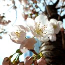 文정부에서 임명한 문형배,이미선 재판관과 李대표의 민주당이 임명한 정계선 재판관은 달랐다 이미지