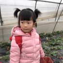 리안이네농장 이미지