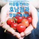 시골청과 이미지