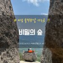 [250524-0525] 비밀의 숲 백패킹 [백패킹챌린지 57/100]
