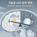 윈터블루(Winter blue) 이미지