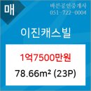 이진캐스빌공인중개사사무소 이미지