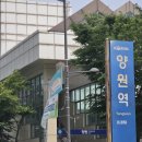직관을 가장한 중랑구 소풍 / 2025 K4리그 14R 직관 후기 서울중랑축구단 vs 대구FC B팀