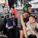 P.I.A international 이미지