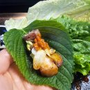 고기구워주는집 | 전주 신시가지 삼겹살 맛집 인더포크 | 한돈 숙성 고기 구워주는 집 후기