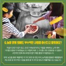 농민농장 티스토리