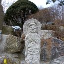 보배창고 Daum카페