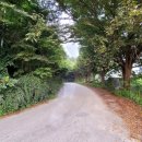 산림욕장 진입로 이미지