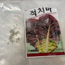 신영화분 | 대형 화단화분으로 상추 키우기: 국내생산 신영금형기업 화분 사용 후기