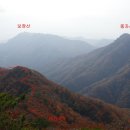 중1리 이미지