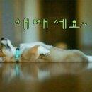 일루와 일루 이미지
