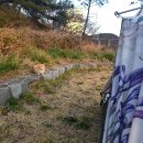 이마트24 귀산점 이미지