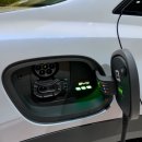 금성장 | "안 산다더니 벌써 1만 대?" 계약자 한국인 98%, 예상 뒤엎은 반전결과