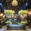 포레823 | [W01]대전 웨딩홀 투어&amp;홀 비교-icc, 라도무스, 라비에벨, 팔레드오페라, 메리비아포레(26년 5월)