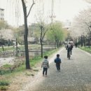 대붕한의원 이미지