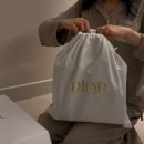 디올가방 북도트 스몰 블랙 구입후기