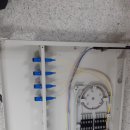 양정초등학교 이미지