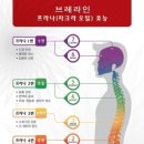 뷰티건강샾