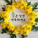 물숨. 영정.낙서.다음.깻잎 이미지