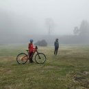 환상의섬 이미지