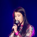 하이미스터 티스토리