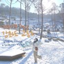 [강화/교동도 여행] DAY3 교동도 대룡시장, 화개정원, 강화평화전망대, 갑곶돈대