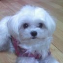 인천여자중학교 이미지