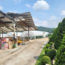 홍천축산 이미지