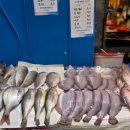 남천해변시장 | 남천해변시장 먹거리 솔직 후기 | 광안리 근처 동네 주민 단골 코스