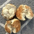 서울동물복지지원센터 동대문 동물병원 이미지