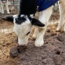 네이처테이너 농업회사법인 주식회사 이미지