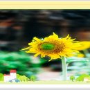 상의할 예정이라고 덧붙였다~^^