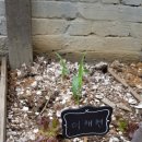 경인무예원 이미지