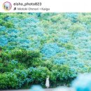 저녁) 인생 이모작 지혜 사주명리 | 명리 가이드 4