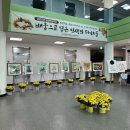 충청남도교육청남부평생교육원 이미지