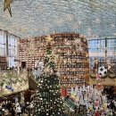 사람아이앤지작은도서관 | 서울 코엑스 별마당도서관 크리스마스트리 포토존 주말 후기 단독샷 꿀팁