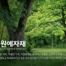 영풍농약 이미지