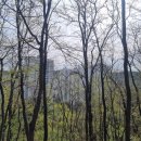 도량산림공원 화장실 이미지