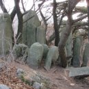 남산리 입석 이미지