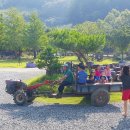 햇살아래캠핑장 이미지