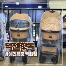 핫독애견용품 네이버블로그