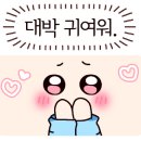 뒤뚱뒤뚱베이비카페 이미지