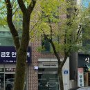 러브씨드스튜디오