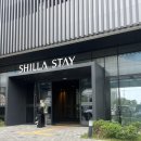 시티스테이 더 여수 | 신라스테이 여수 스탠다드 더블 시티뷰 (세미 오션뷰) 숙박 추천 후기