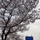 양평벚꽃하우스 이미지