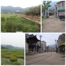 합천시장 네이버블로그