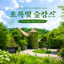 제이드미나 | 춘천 제이드가든 수목원에서 누리는 초록빛 숲캉스
