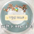 오션 캣 이미지