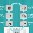 222 | 스마트 체중계 종류 비교 오므론 HBF-222T 인바디 골격근율 측정 후기