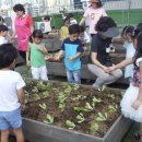 초록향기작은도서관 이미지